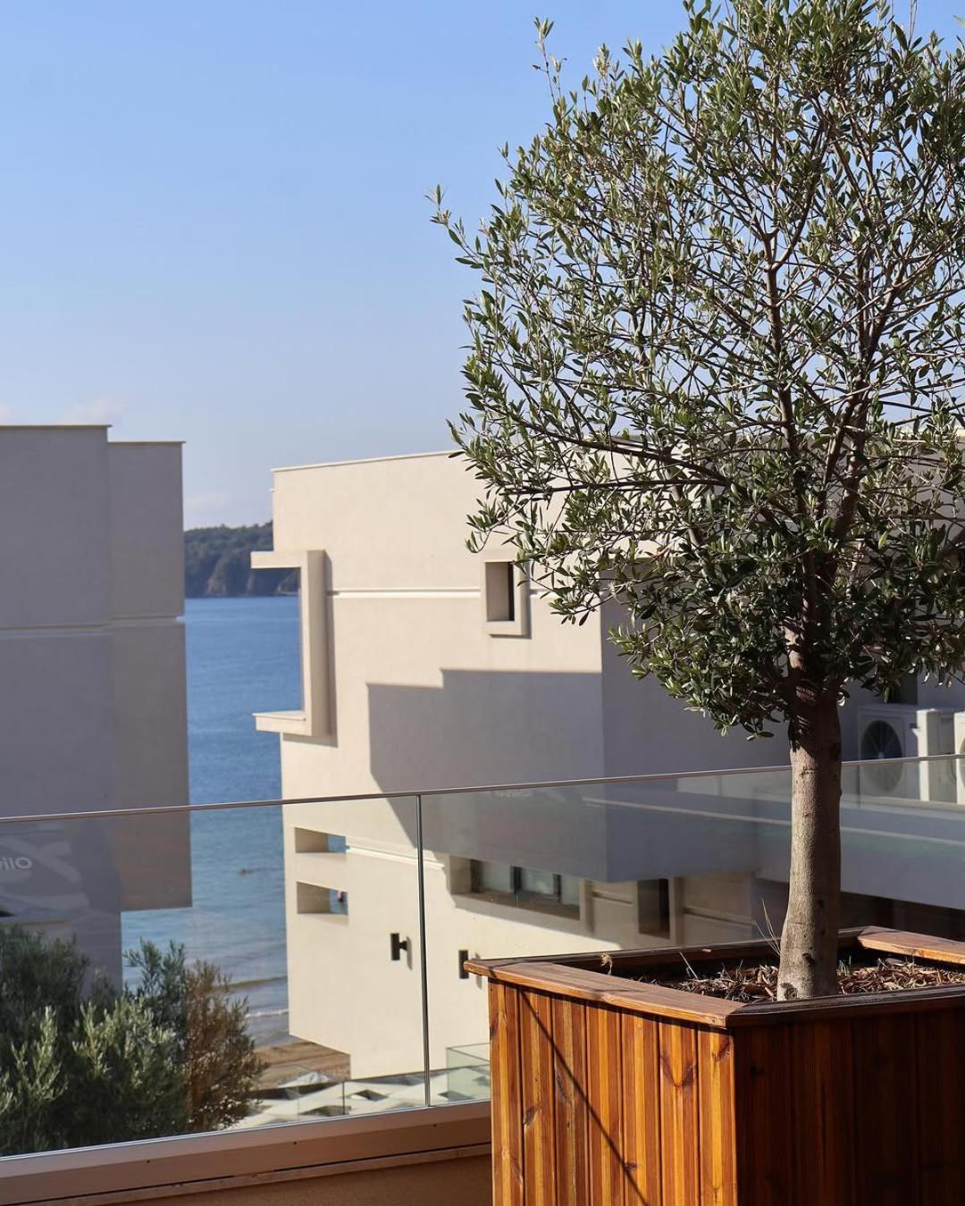 Olive Villas Beach Hotel Sosopol Exterior foto